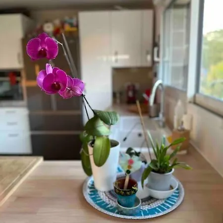 Maison Familiale Villa *